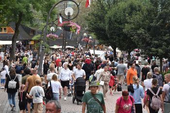 Czy Zakopane jest drogie? Spytaliśmy turystów. Odpowiedzi zaskakują
