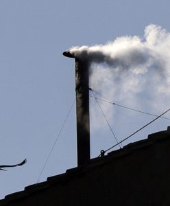 Przysiadła na dachu Kaplicy Sykstyńskiej. Wtedy pojawił się biały dym