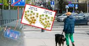 Nie będzie już tak ciepło jak w majówkę. Zobacz prognozę na 16 dni