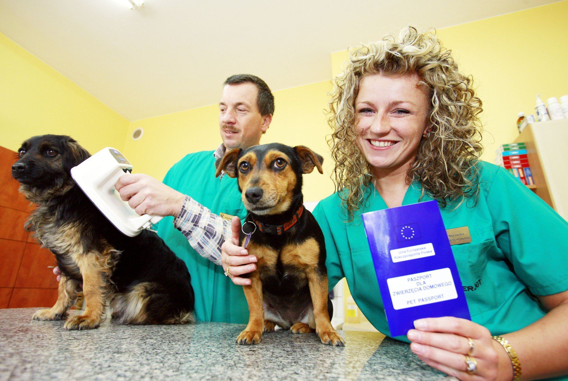 Jeleniogórzanie zdjęcia sprzed dekad