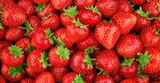 Uwaga na truskawki z tego kraju. Wykryto w nich groźnego wirusa