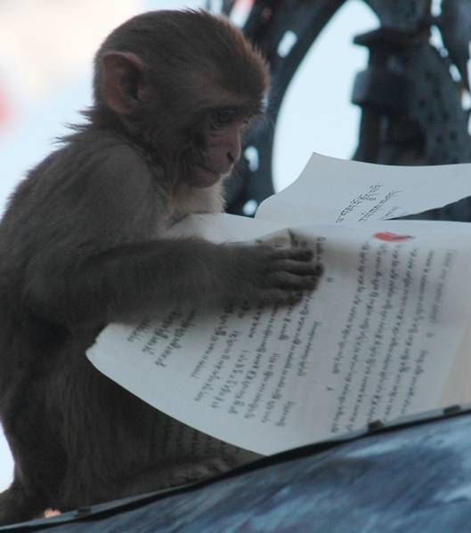 Tydzień w krzywym zwierciadle: jak powstają smartfony 3