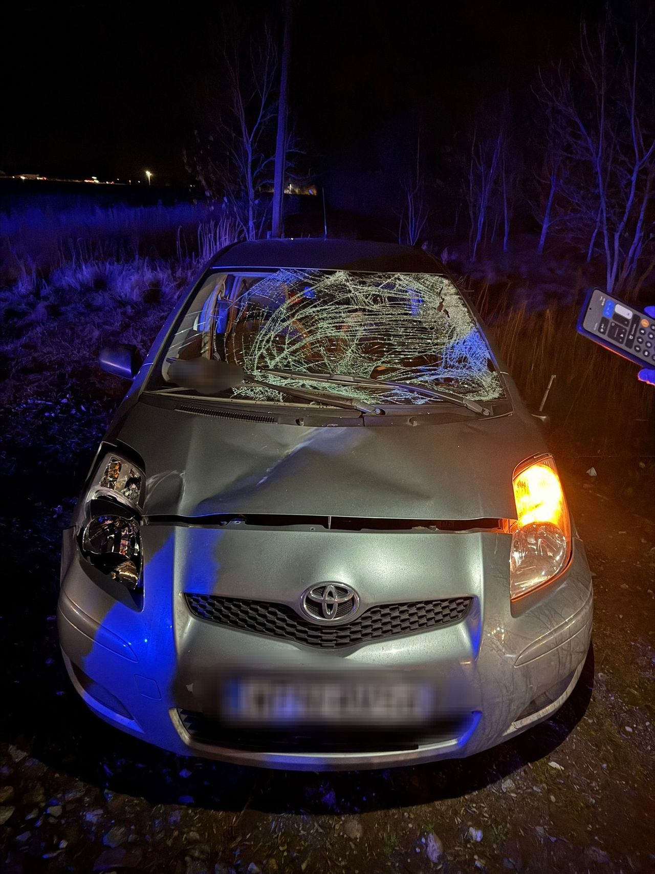 Coraz więcej zdarzeń z udziałem dzikiej zwierzyny!