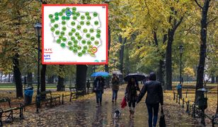 Ponuro i deszczowo. W poniedziałek w pogodzie gorsza strona jesieni