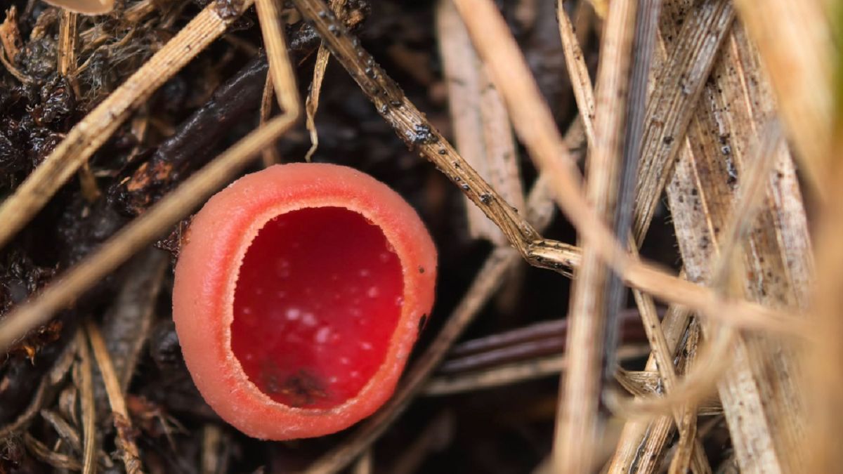 Leśnicy pokazali to zdjęcie. Wiosna jest blisko? 