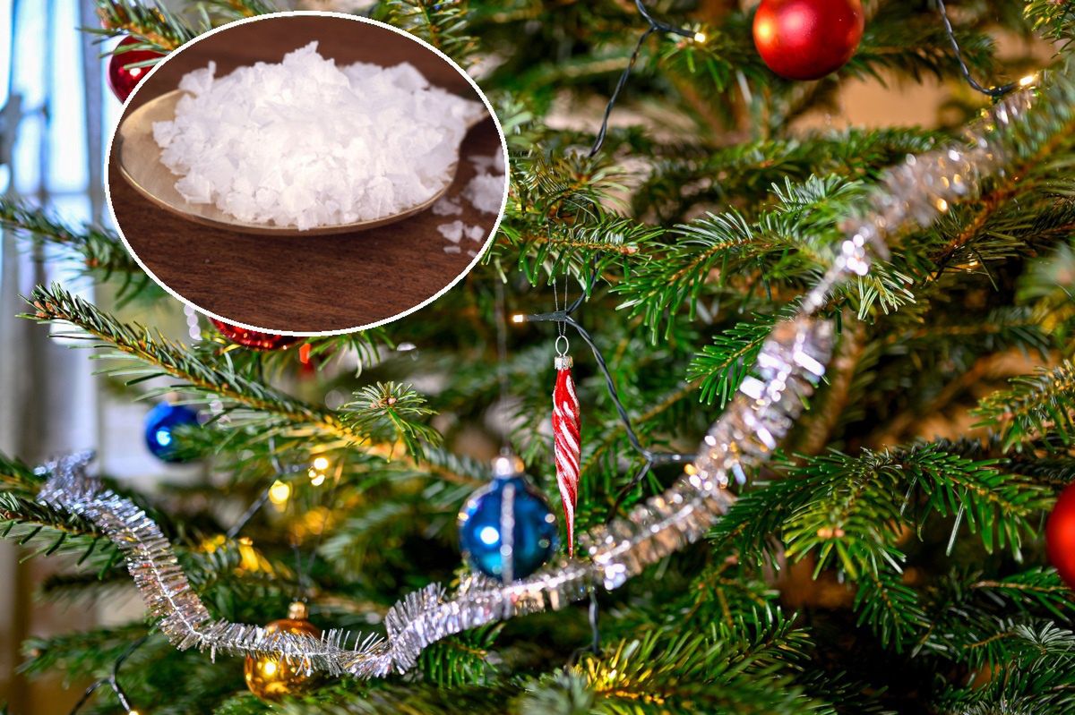 Keeping your Christmas tree fresh: The kitchen trick you need