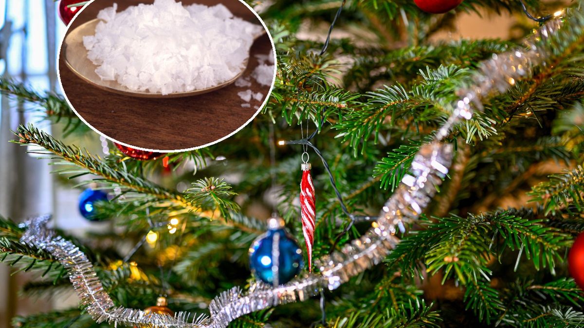 Woda z solą sprawdzi się do podlewania choinki