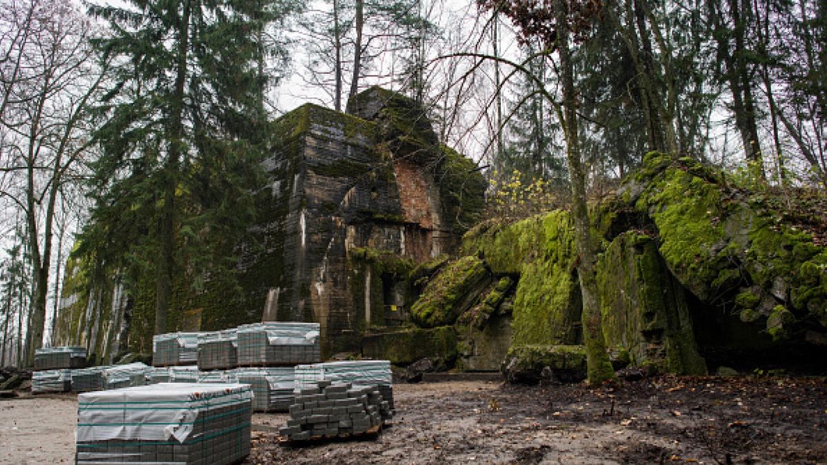 Rzecznik Lasów Państwowych potwierdził, że na terenie Wilczego Szańca rozpoczną się kolejne inwestycje