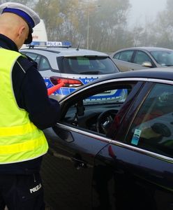 Zmiany przegłosowane. Bez prawa jazdy przy sobie. Łatwiejsza i tańsza rejestracja aut