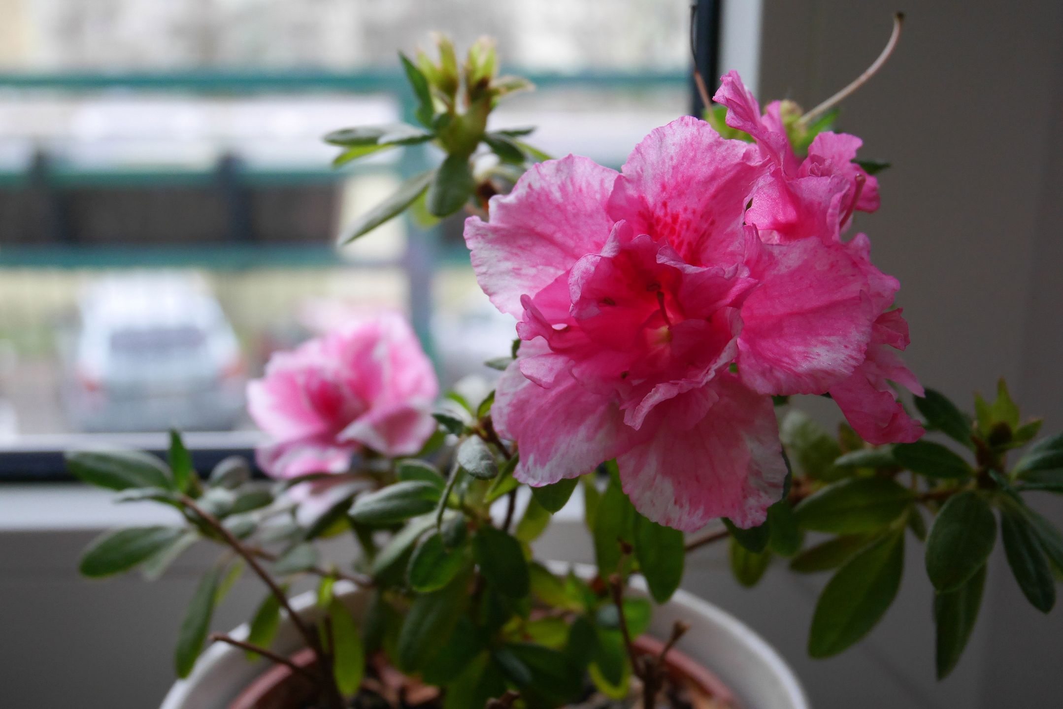 Panasonic Lumix GM5 – miniaturyzacja bez kompromisów [test] 101
