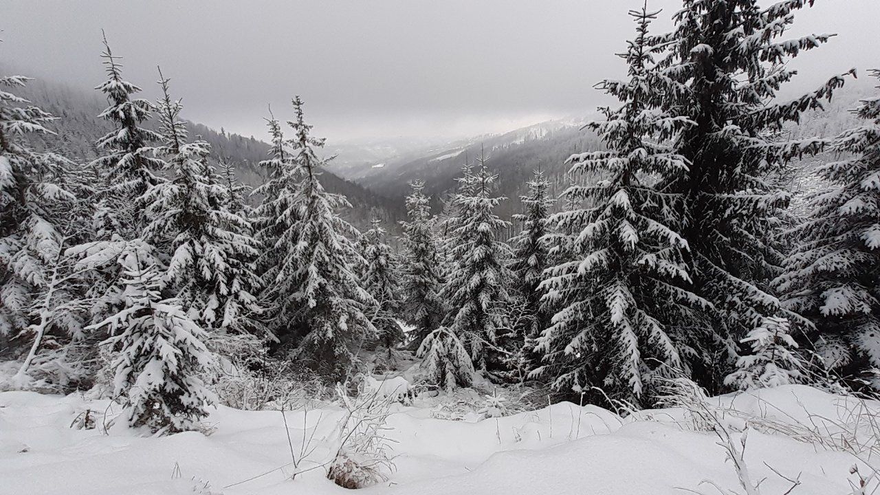 Trudne warunki w Beskidach