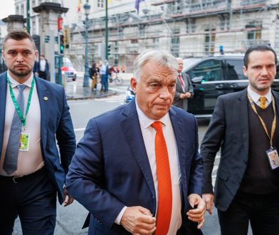 Azyl Romanowskiego. PiS i Orbán mają wspólny cel: powrót Zjednoczonej Prawicy do władzy [OPINIA]