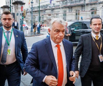 Azyl Romanowskiego. PiS i Orbán mają wspólny cel: powrót Zjednoczonej Prawicy do władzy [OPINIA]