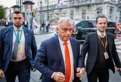 Azyl Romanowskiego. PiS i Orbán mają wspólny cel: powrót Zjednoczonej Prawicy do władzy [OPINIA]