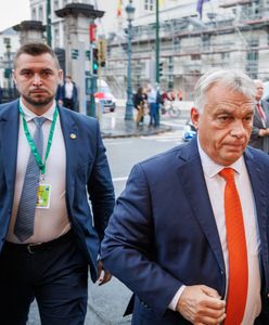 Azyl Romanowskiego. PiS i Orbán mają wspólny cel: powrót Zjednoczonej Prawicy do władzy [OPINIA]