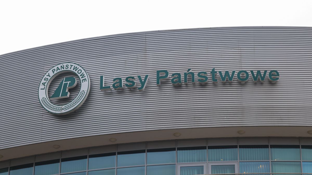 NIK negatywnie ocenia gospodarowanie środkami przez Lasy