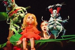 Wrocław. Teatr Lalek wraca do gry. Nowe zasady z powodu koronawirusa