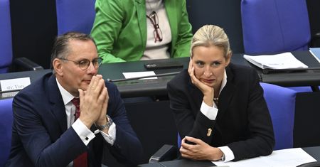 Brandenburgia uznaje AfD za organizację skrajnie prawicową