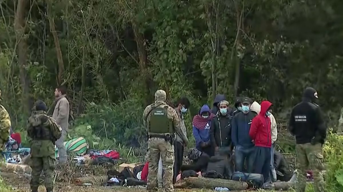 Niepokojące sceny na granicy z Białorusią. "Używając pałek, zadają ciosy