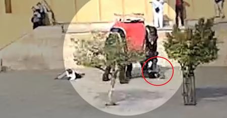 Słoń powalił Rosjankę na ziemię. Wideo trafiło do sieci