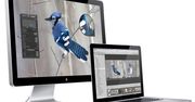 2kg gorącej szarlotki - MacBook Alu i zewnętrzny monitor
