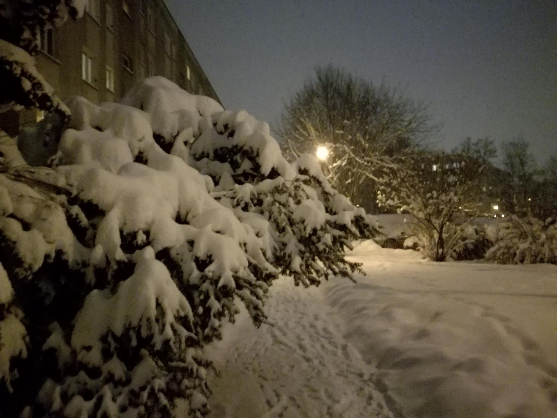 Śnieżyca w Krakowie 
