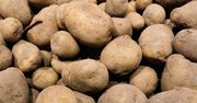 Ziemniaki na Ukrainie drożeją. Wskazano przyczynę