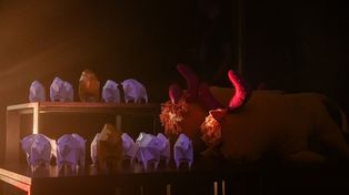Białystok: Festiwal Filmów Krótkometrażowych ŻUBROFFKA coraz bliżej
