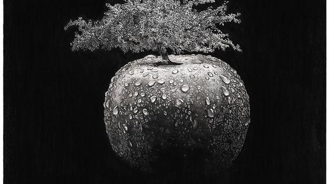 Te piękne obrazy wcale nie są zdjęciami. To się nazywa fotorealizm! 1