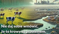 Hodowcy bydła mięsnego z kampanią „Lowe Krowe”