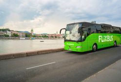 Wrocław. Flixbus wznawia kolejne połączenia. Dojedziemy na Węgry i do Austrii