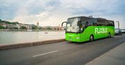 Wrocław. Flixbus wznawia kolejne połączenia. Dojedziemy na Węgry i do Austrii