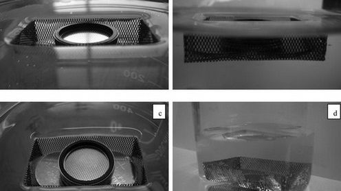 Chodzenie po wodzie jest już możliwe? 1