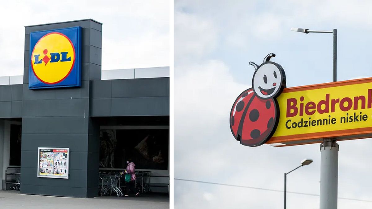 Lidl; Biedronka; dyskonty; sklep