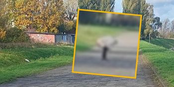 Włocławek: Mężczyzna wypróżnił się na oczach spacerowiczów