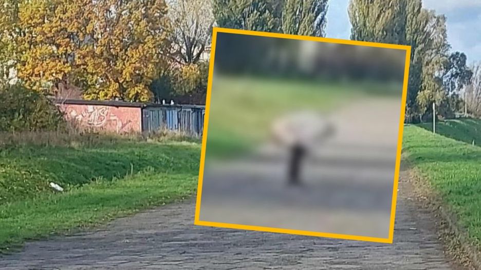 Fot. Spotted Włocławek