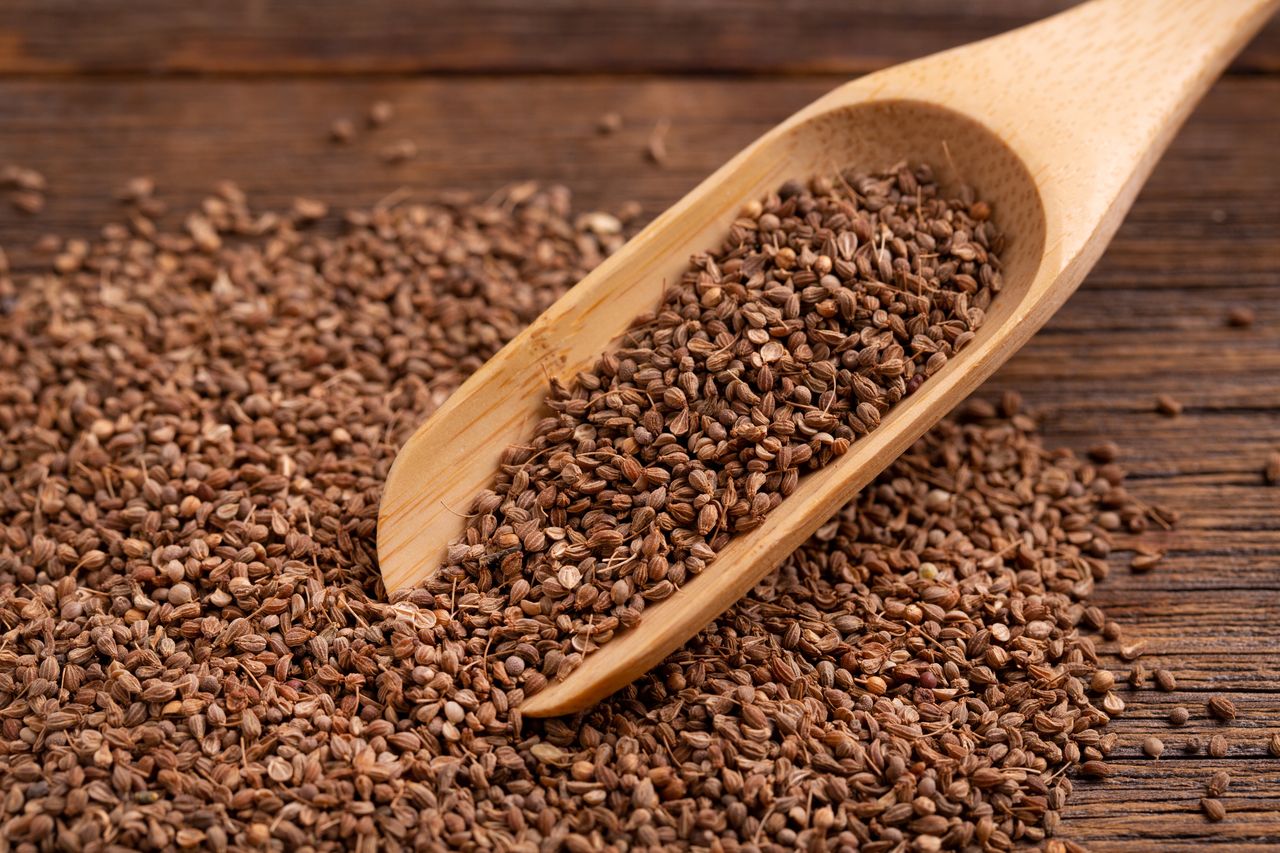 Obrane nasiona anyżu