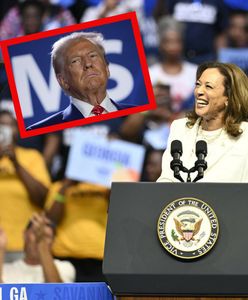 Tak dziś wybraliby Amerykanie. Są wyniki najnowszego sondażu