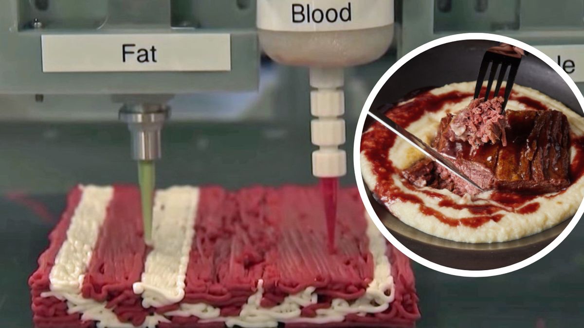 Wegańskie mięso- Pyszności źródło Redefine Meat