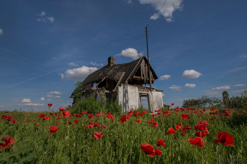 Historia pewnej chatki pod Warszawą. To tajemnicze miejsce przyciąga go od lat 19