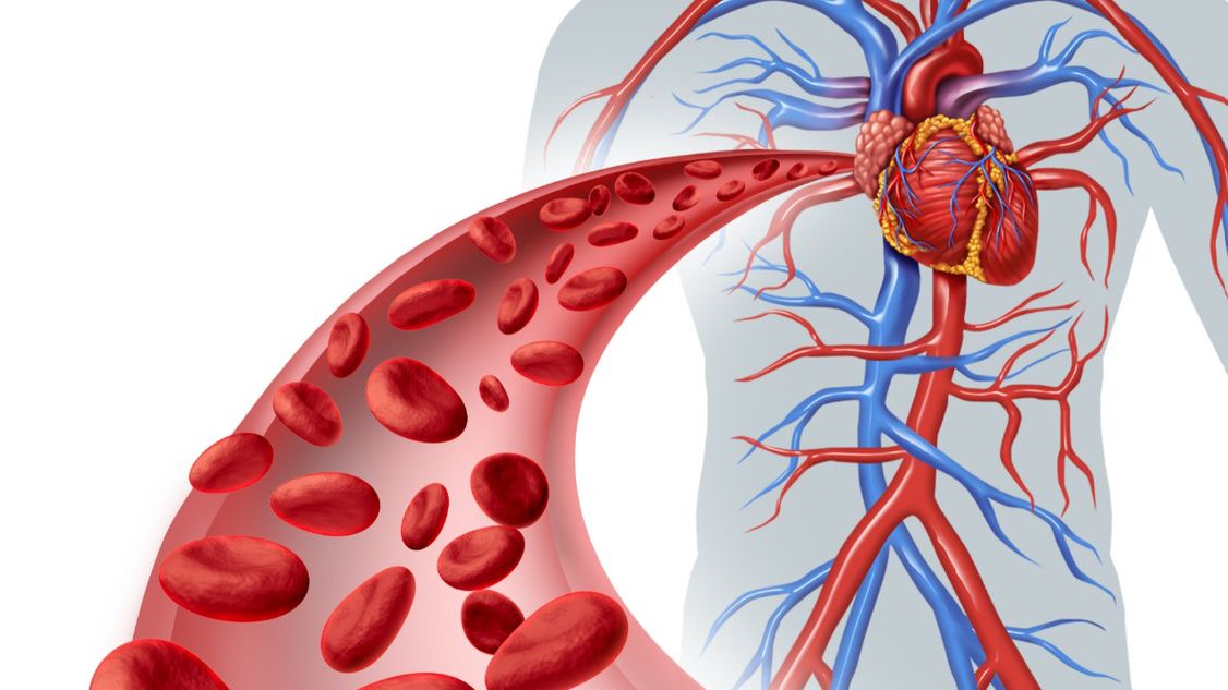 Ocena krążenia żylnego