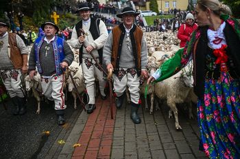 Krzyżówka o tradycjach narodowych. Każdy powinien zgarnąć komplet