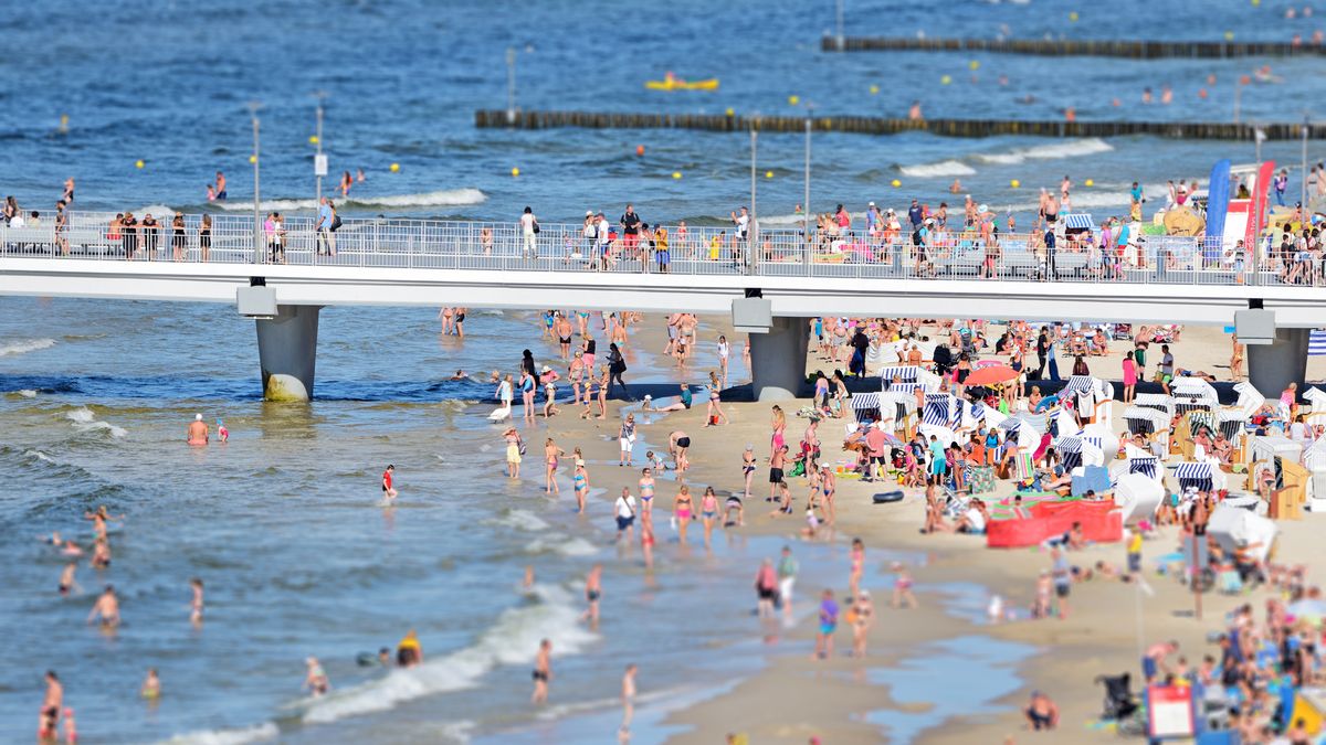 Wczasy pod gruszą nadal są w wielu firmach