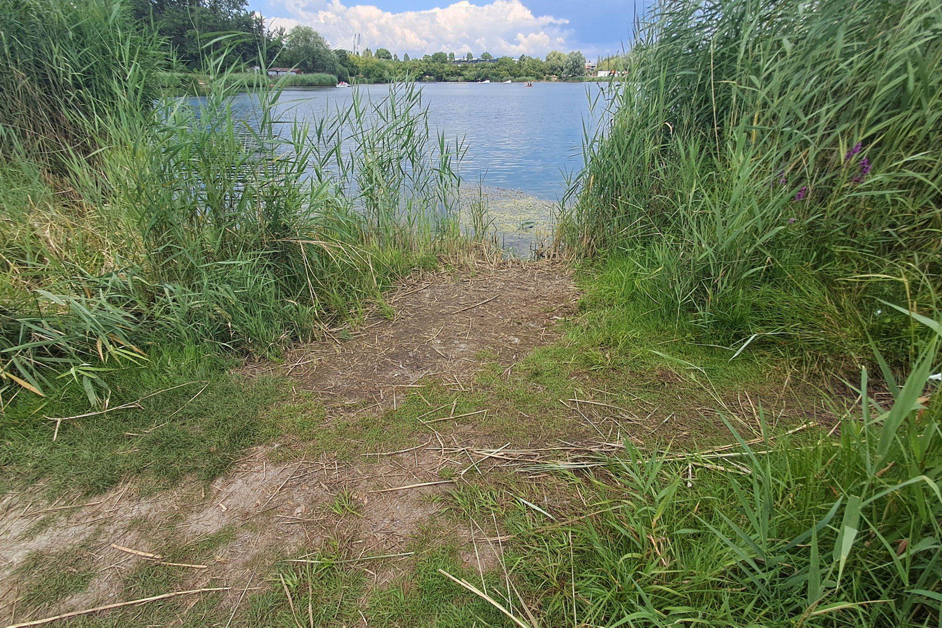 Plaża nudystów w Krakowie 