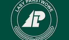 Lasy Państwowe mają nową rzeczniczkę prasową