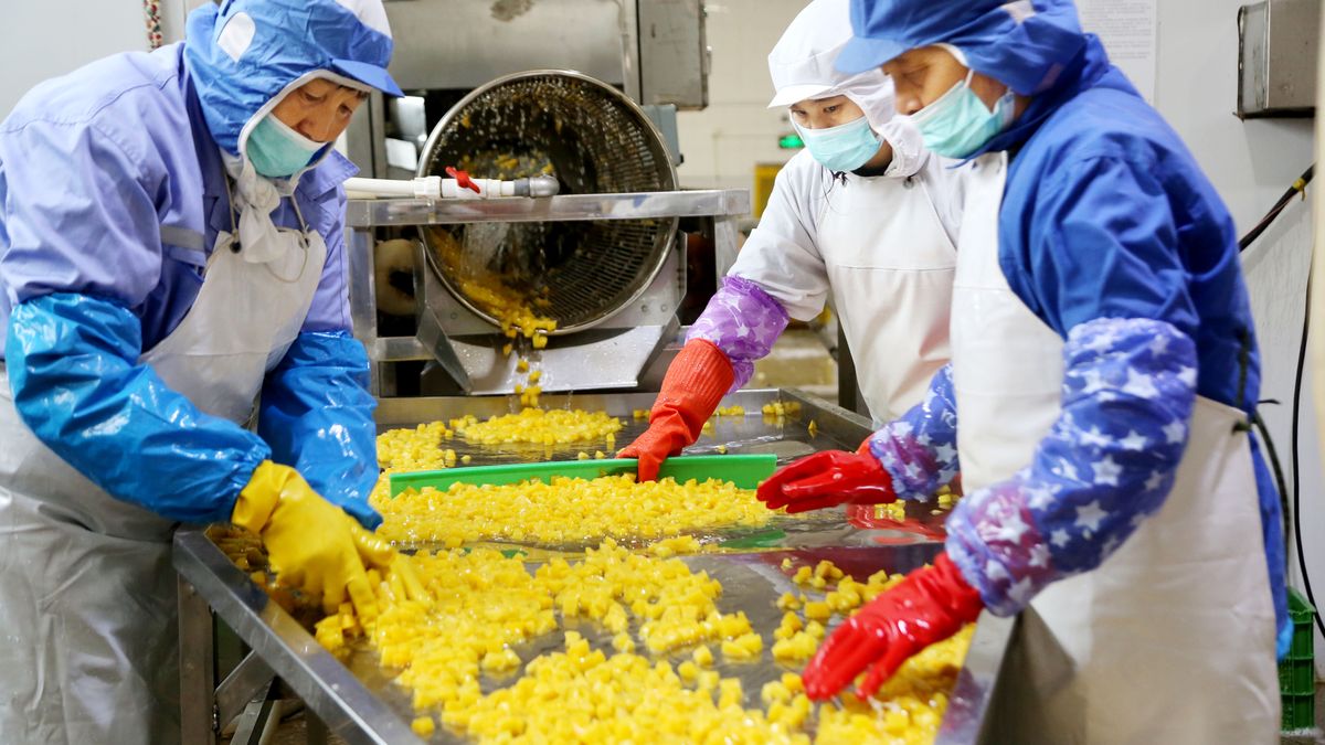 Migranci do pracy są niezbędni. Raport nie pozostawia złudzeń