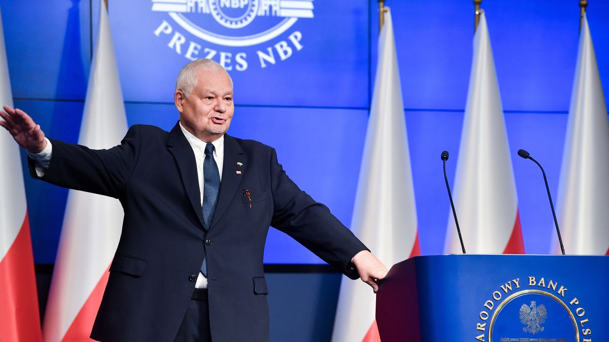 Na zdjęciu prof. Adam Glapiński rozkładający ręce na konferencji prasowej