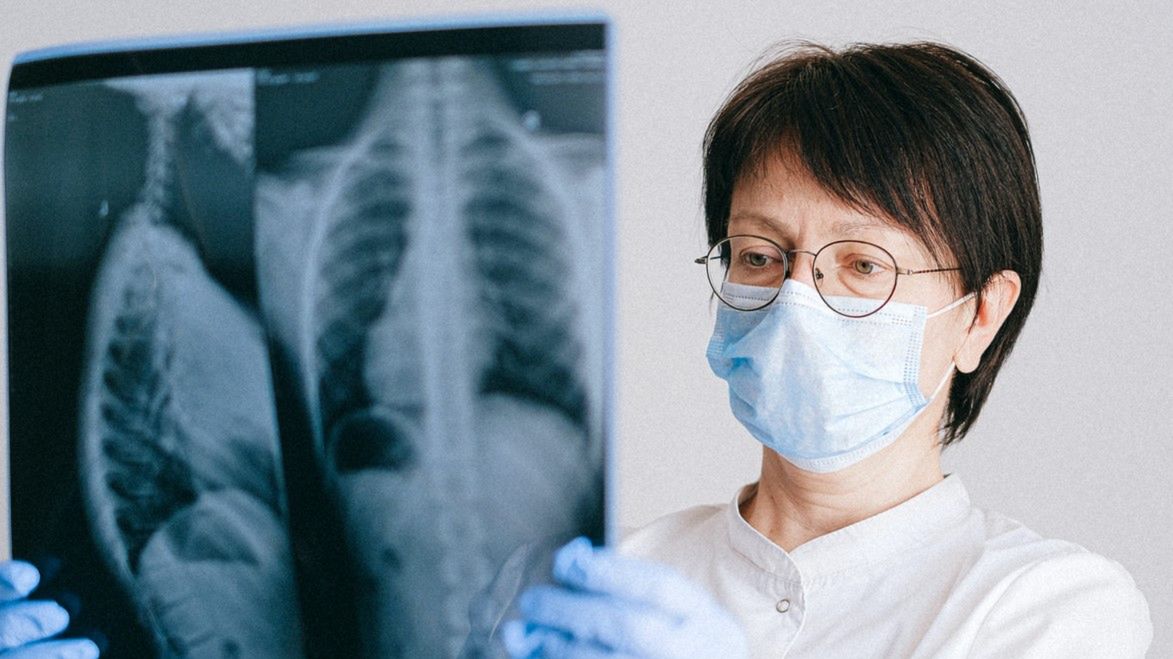 Płuca - charakterystyka, choroby