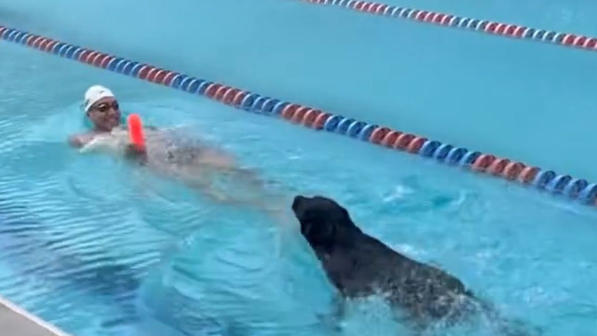 Caeleb Dressel i jego pies