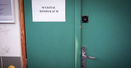 Windykacja w pandemii. "Spłacalność lepsza niż przed pandemią"
